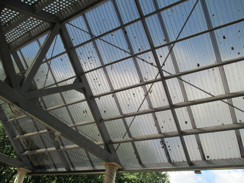 Moss Cleaning Pergolas & Verandas